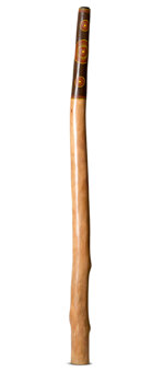 Jesse Lethbridge Didgeridoo (JL126)